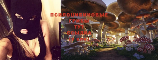 Альфа ПВП Михайловка