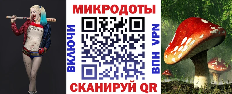 купить наркотики цена Южноуральск Псилоцибиновые грибы GOLDEN TEACHER